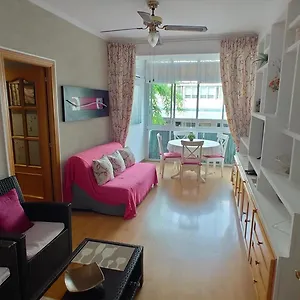  Apartamento Piso 3 Centro De 11349